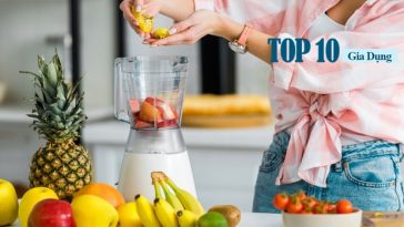 Top 10 Máy Xay Sinh Tố được ưa chuộng nhất năm